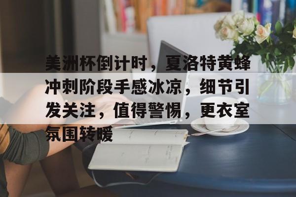 包含美洲杯倒计时，夏洛特黄蜂冲刺阶段手感冰凉，细节引发关注，值得警惕，更衣室氛围转暖的词条九游游戏官网入口